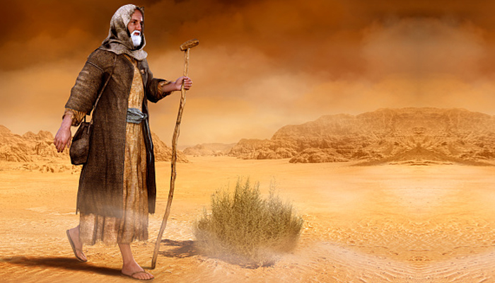 Nabi Musa di Madyan, Doa Nabi Ayyub, Nasihat Nabi Adam, Nabi Khidir